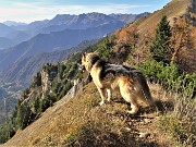 60 Dori osserva dall'alto la valle di Piazzatorre 